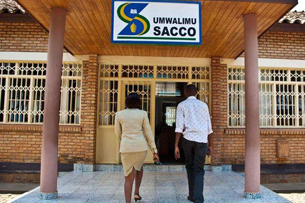 Roll out online and mobile services, members tell saccos